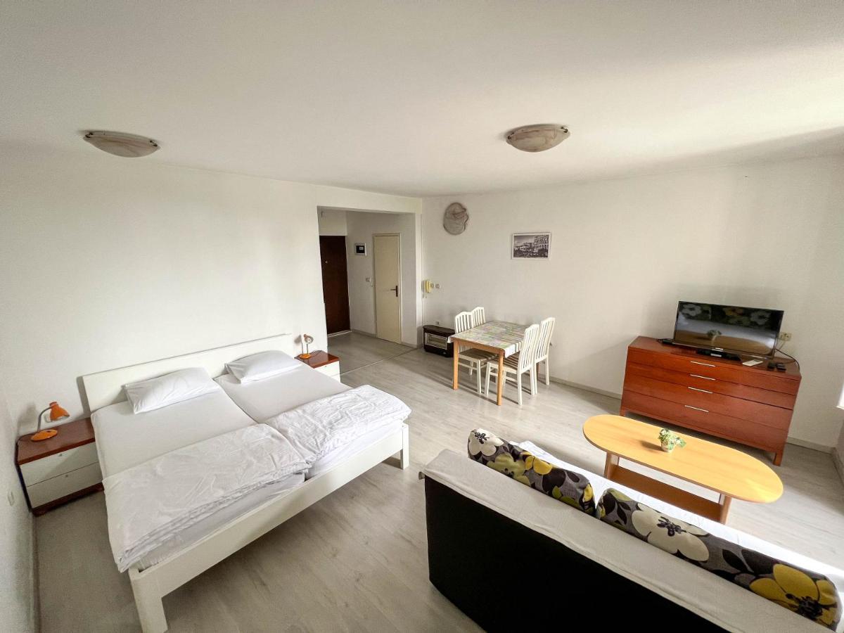Arena Apartment